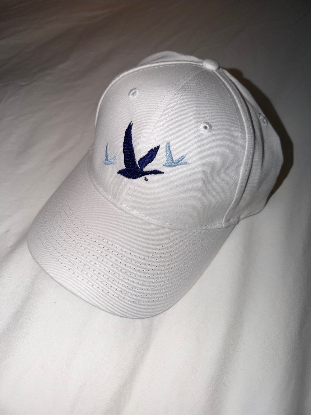 White Grey Goose Baseball Cap